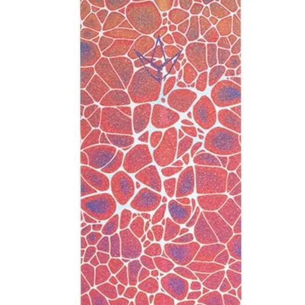 Envy Neuron Red Scooter Grip Tape