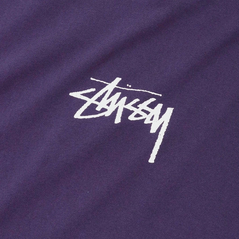 Stussy Stock Chest Grape T-Shirt [Size: M]