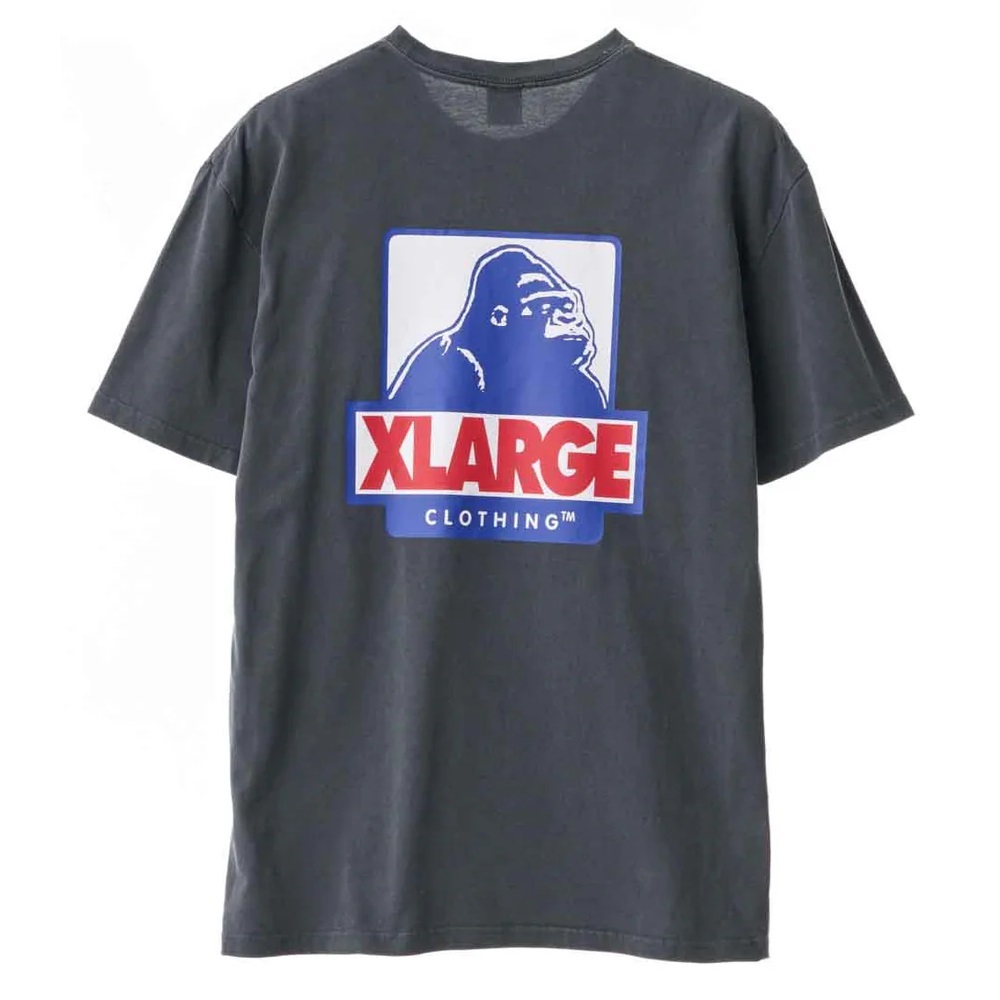 XLarge 91 LCB OG Pigment Steel T-Shirt