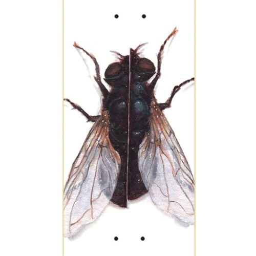 Zero Insection Forrest Edwards 8.25 Skateboard Deck