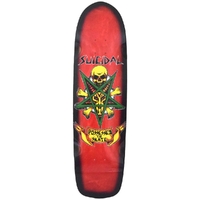 Dogtown Suicidal Skates Possessed To Skate Pool 8.75 Skateboard Deck