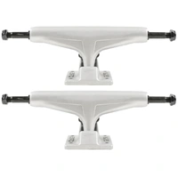 Tensor Mag Light Reg Silver Set Of 2 Skateboard Trucks