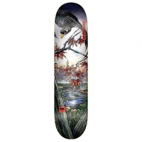 Dgk Prosperity Fagundes 8.1 Skateboard Deck