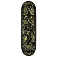 Creature Fiend Flash Kimbel VX 9.0 Skateboard Deck