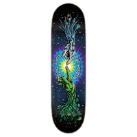 Santa Cruz Contact Wooten 8.5 Skateboard Deck