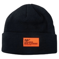 Dgk Survival Black Beanie