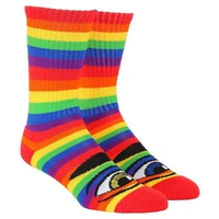 Toy Machine Sect Eye Rainbow Socks