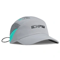 Ichpig Strike Vapour Wolf Grey Hat