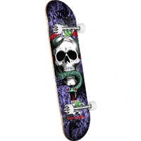 Powell Peralta Skull & Snake Black Purple 7.75 Complete Skateboard