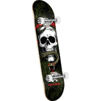 Powell Peralta Skull & Snake Black Green 8.25 Complete Skateboard