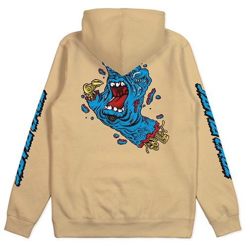 santa cruz kids hoodie